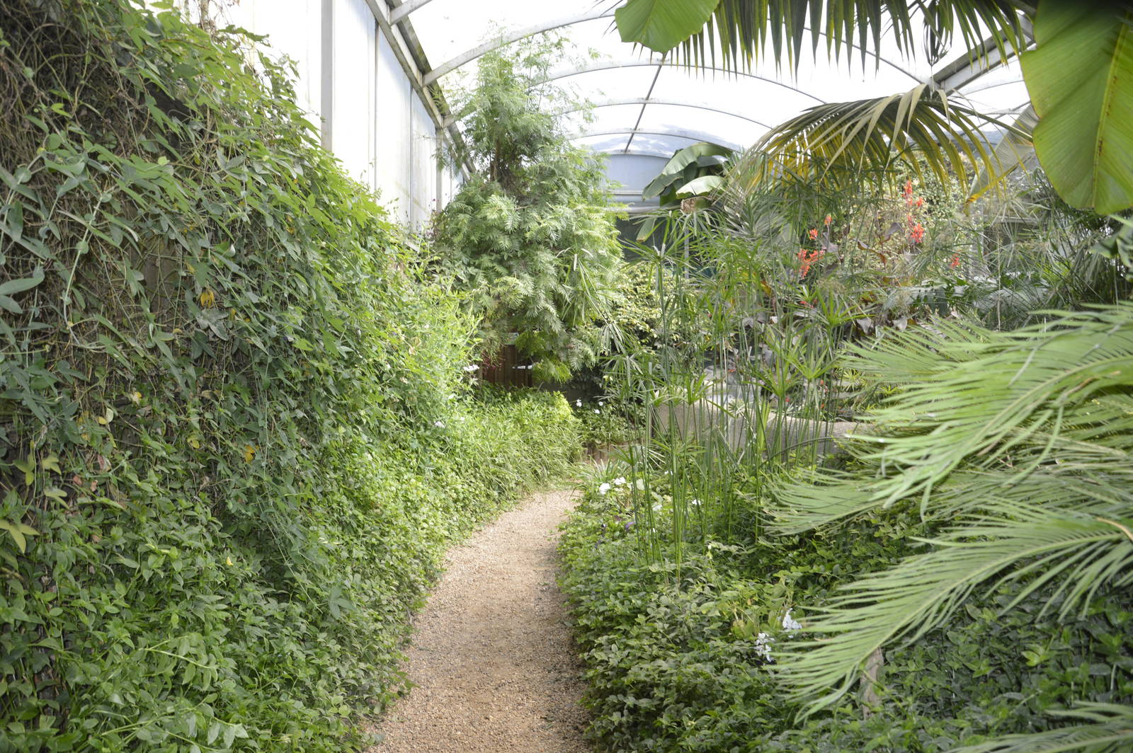 Tropical House 050816