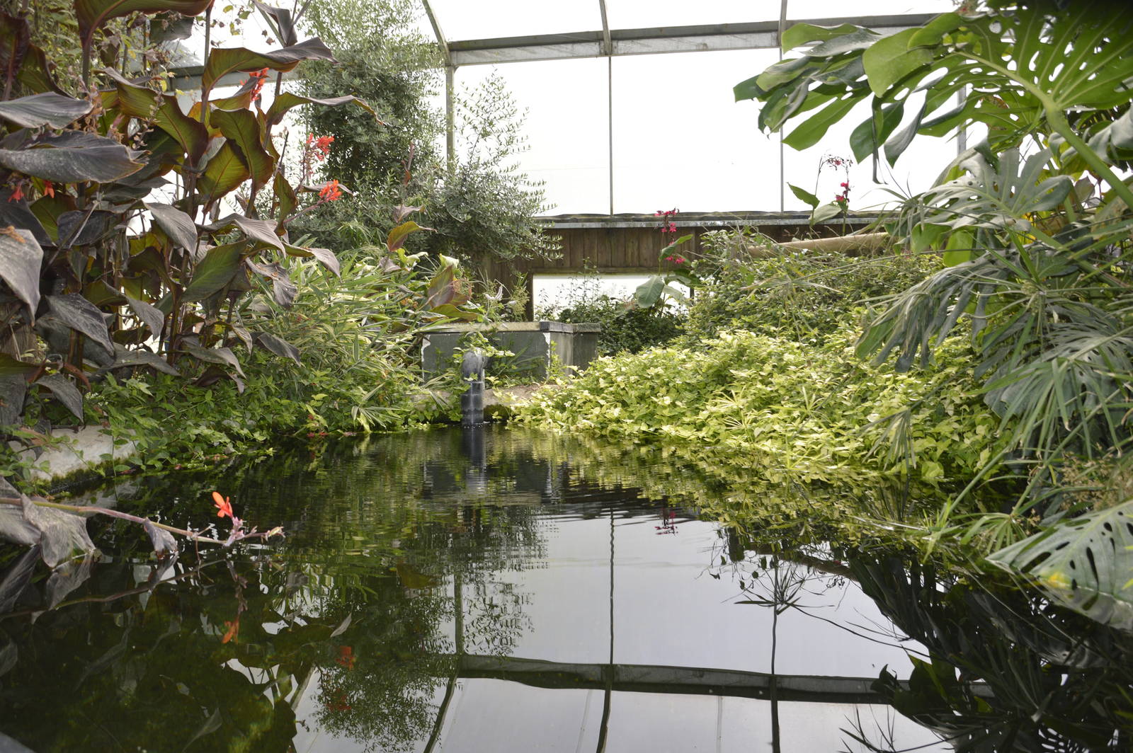 Tropical House 050816