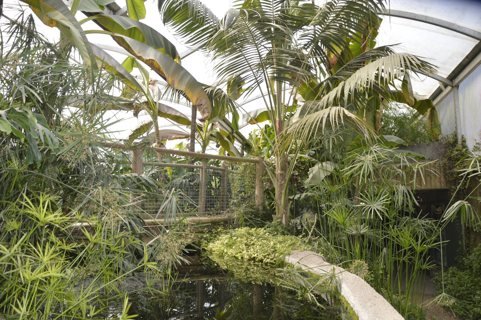 Tropical House 050816