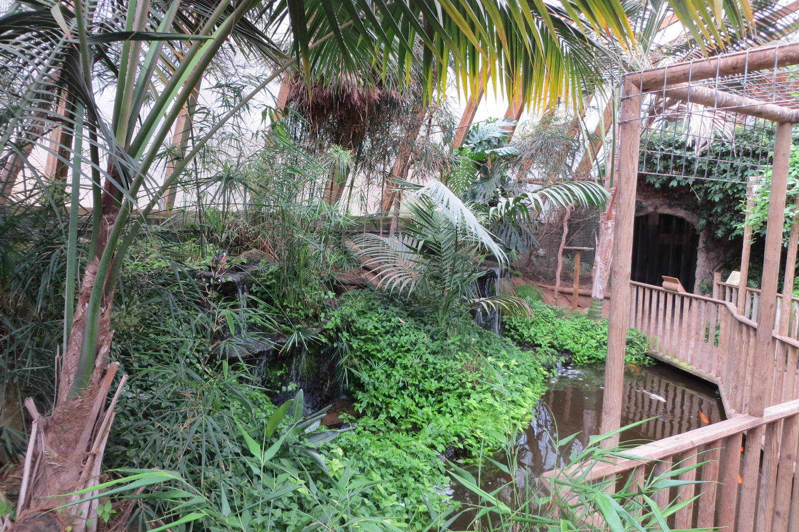 Tropical House 060515