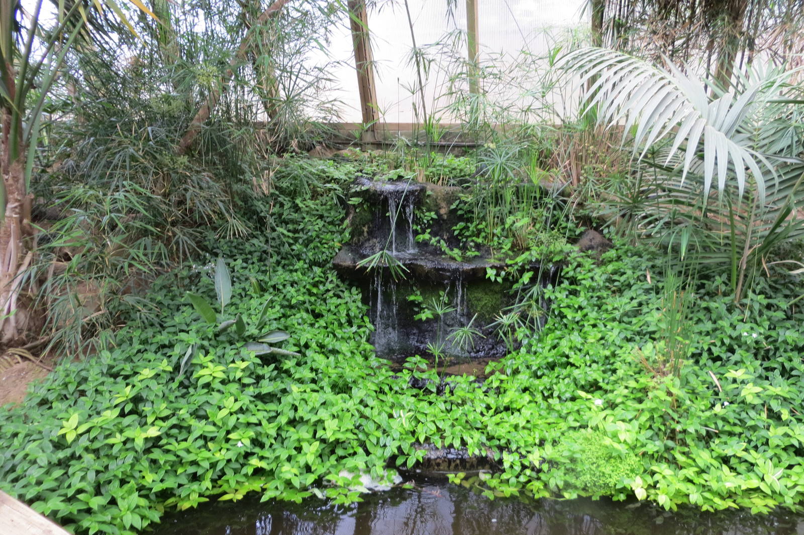 Tropical House 060515