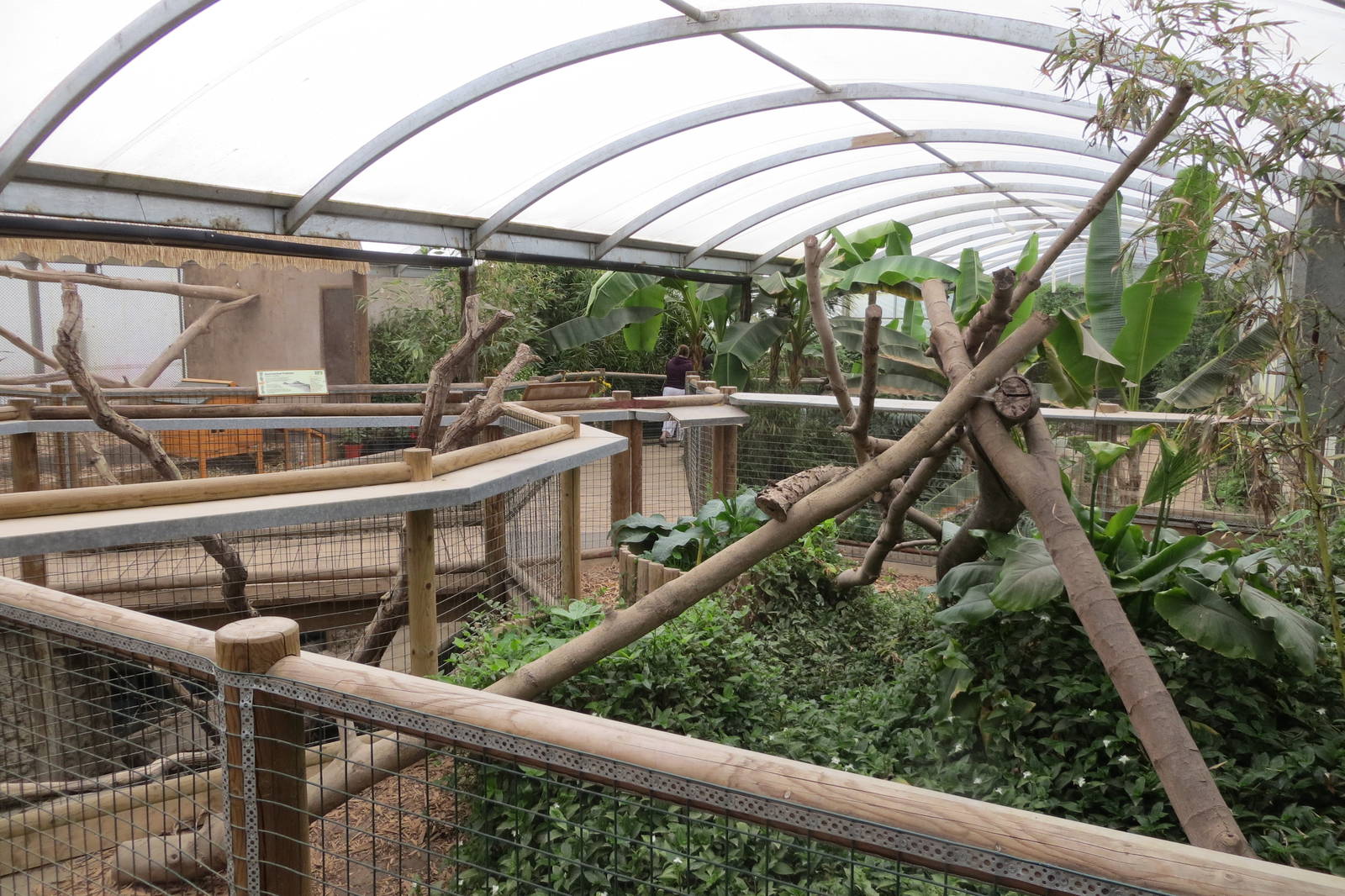 Tropical House 070515