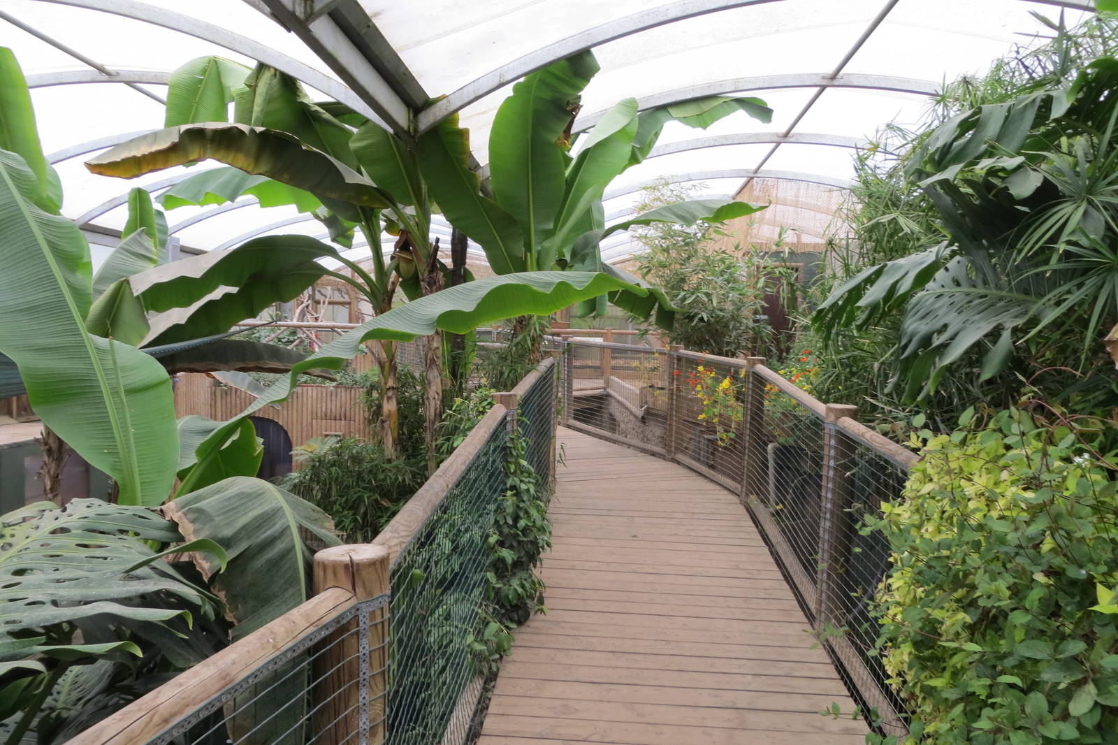 Tropical House 070515