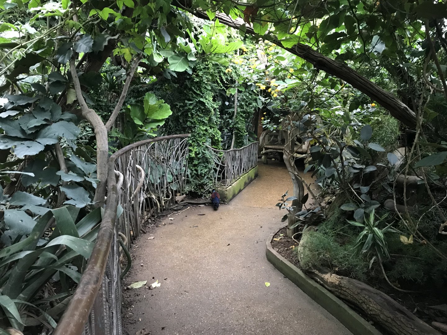 Tropical House 071019