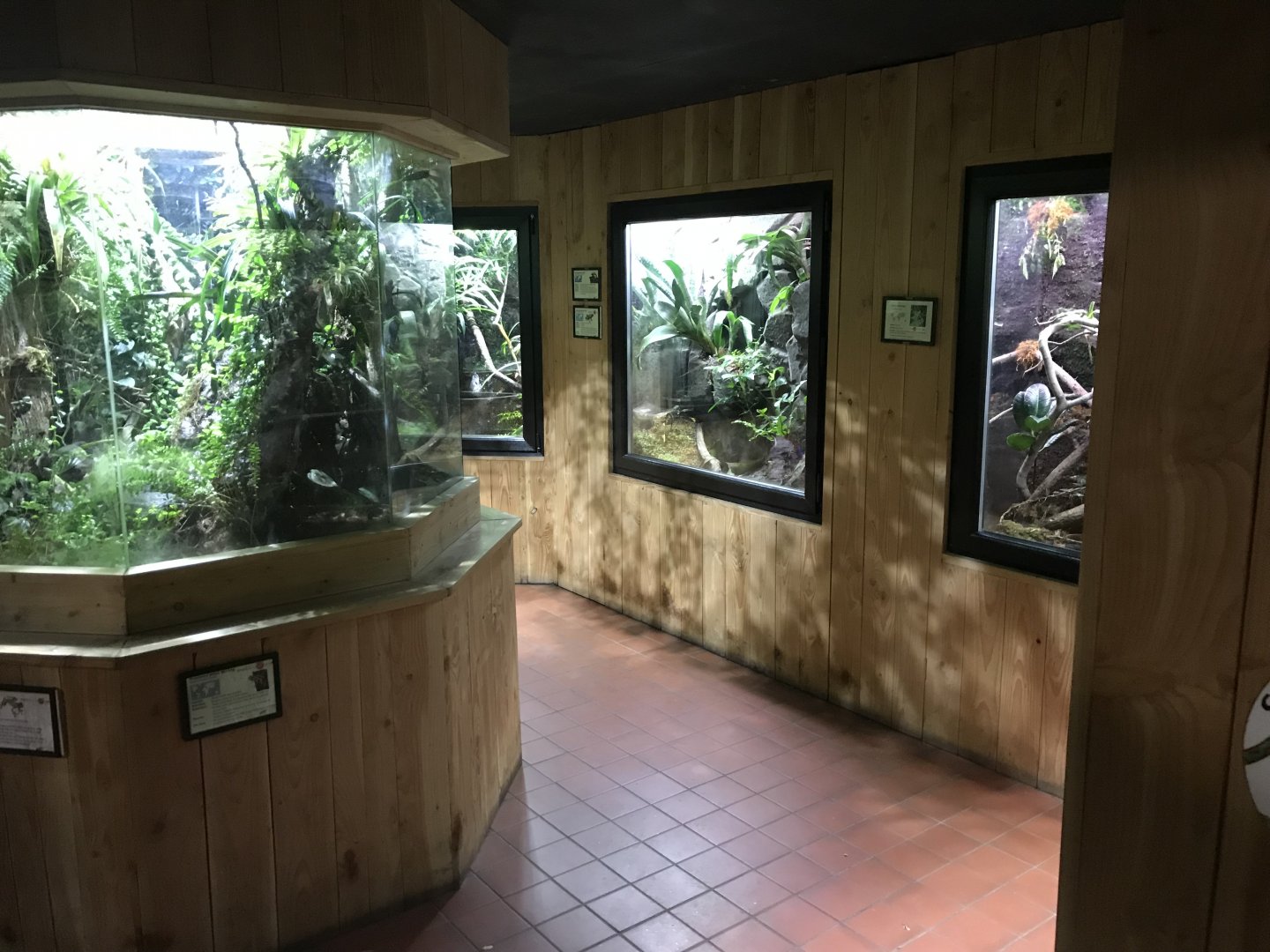 Tropical House 081018