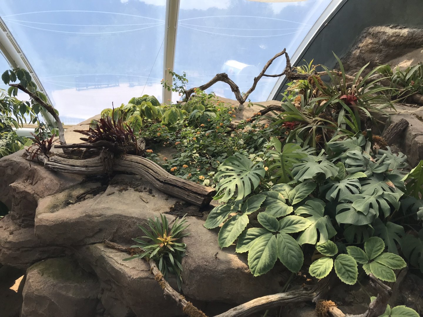 Tropical House 110519