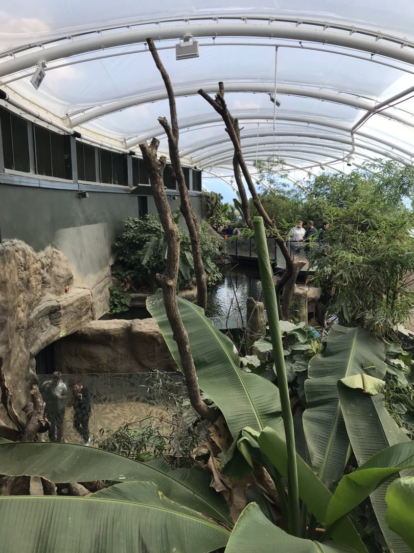 Tropical House 110519