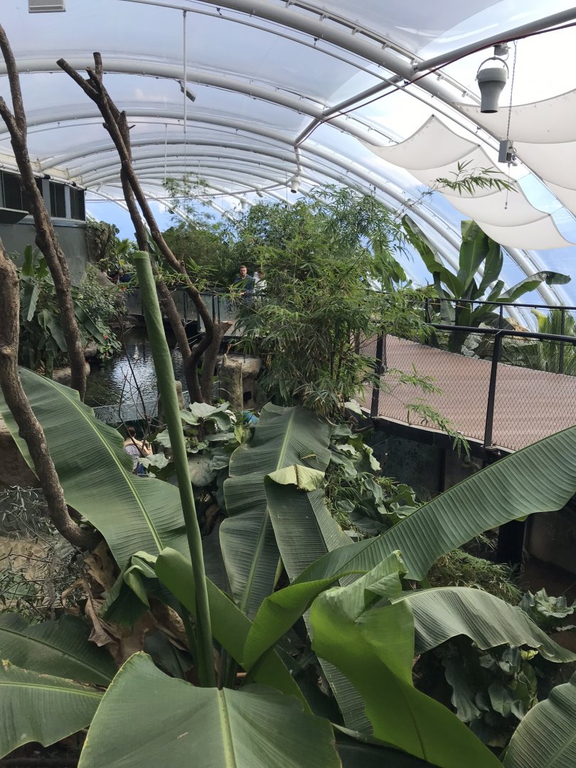 Tropical House 110519