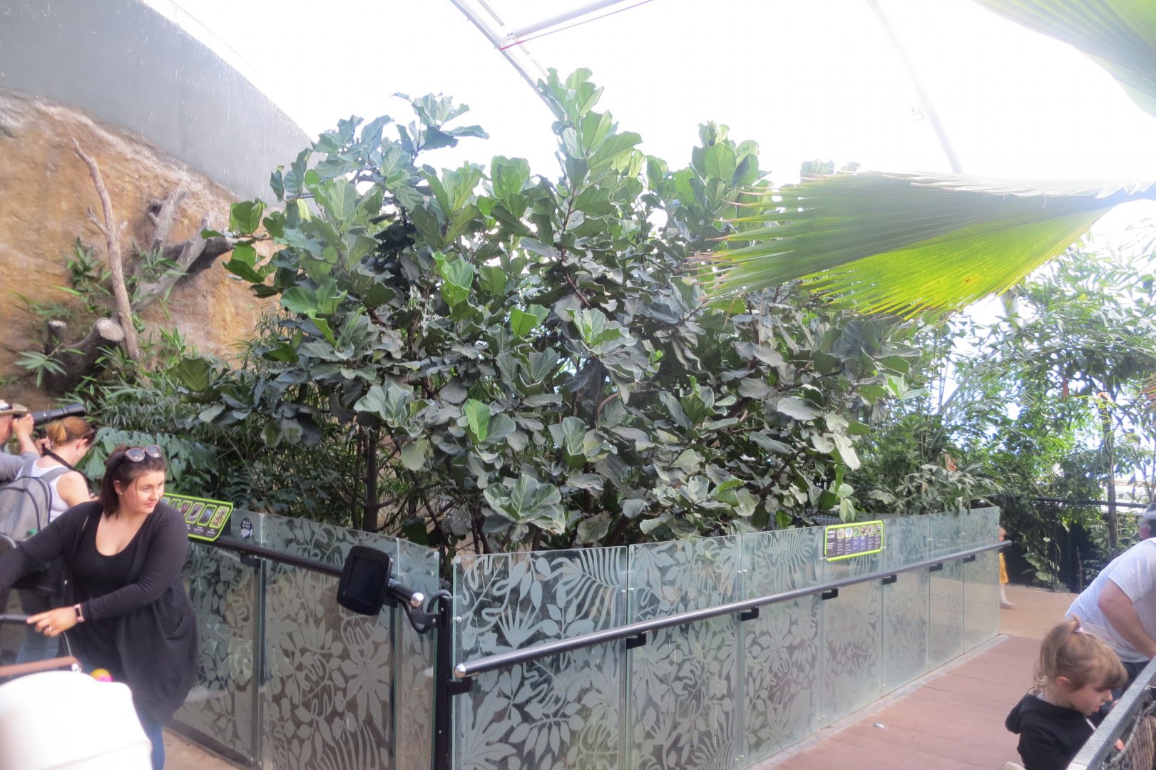 Tropical House 110519