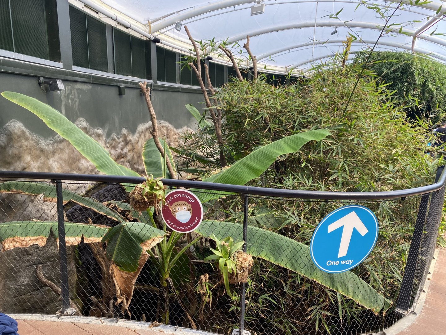 Tropical House 120821