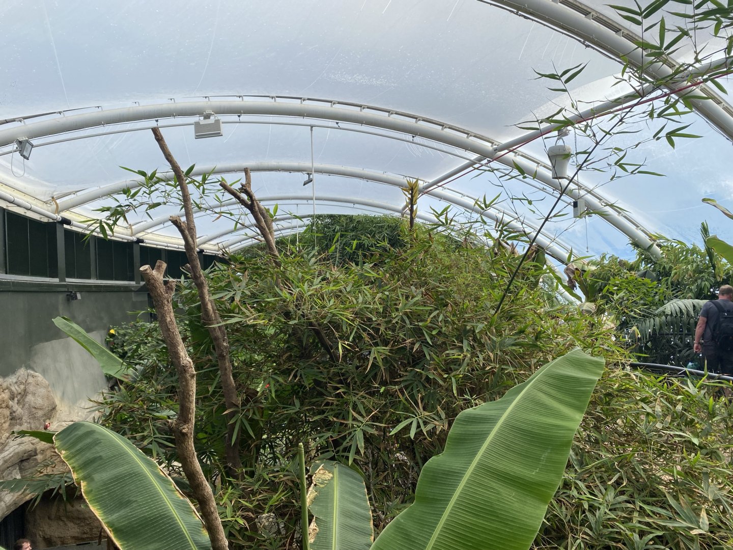 Tropical House 120821