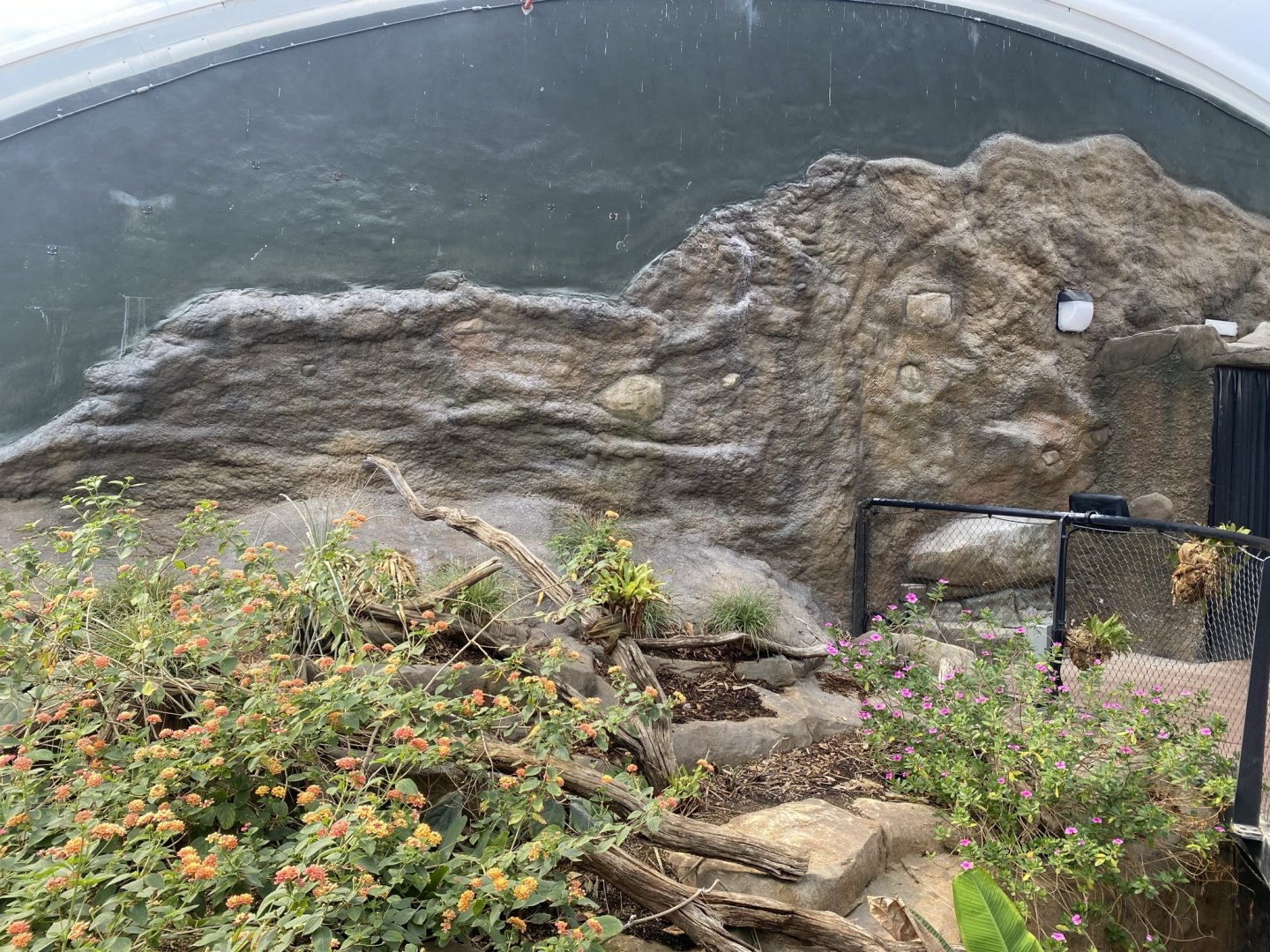 Tropical House 120821