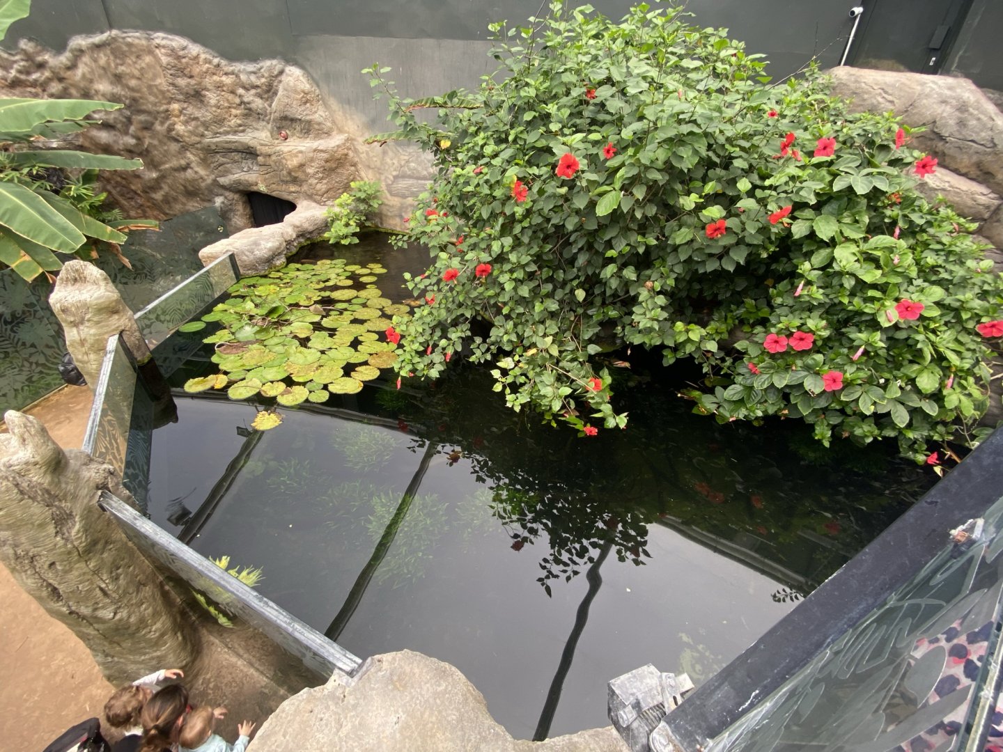 Tropical House 120821