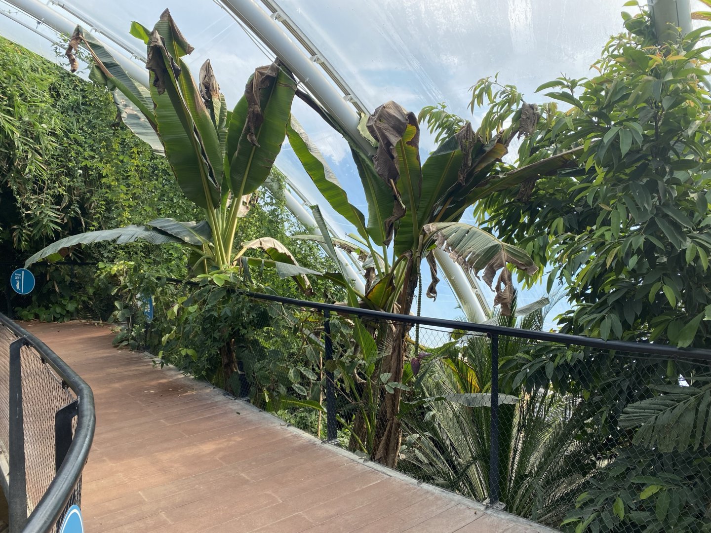 Tropical House 120821