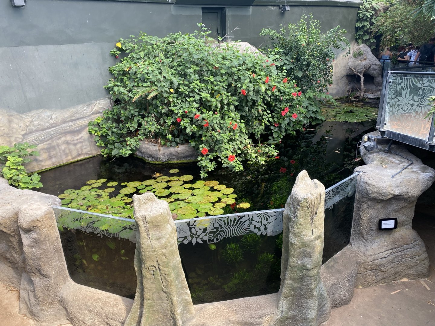 Tropical House 120821