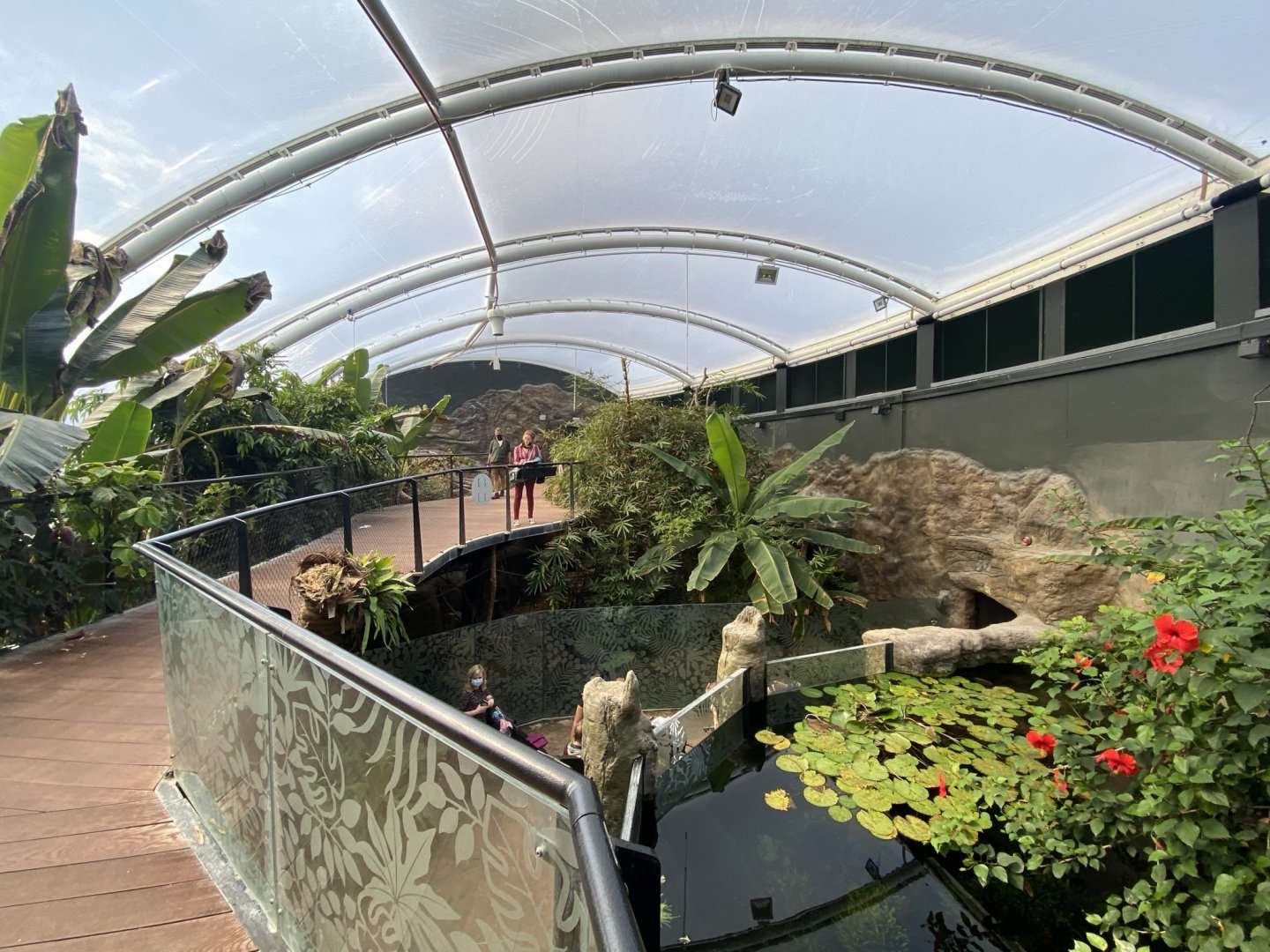 Tropical House 120821