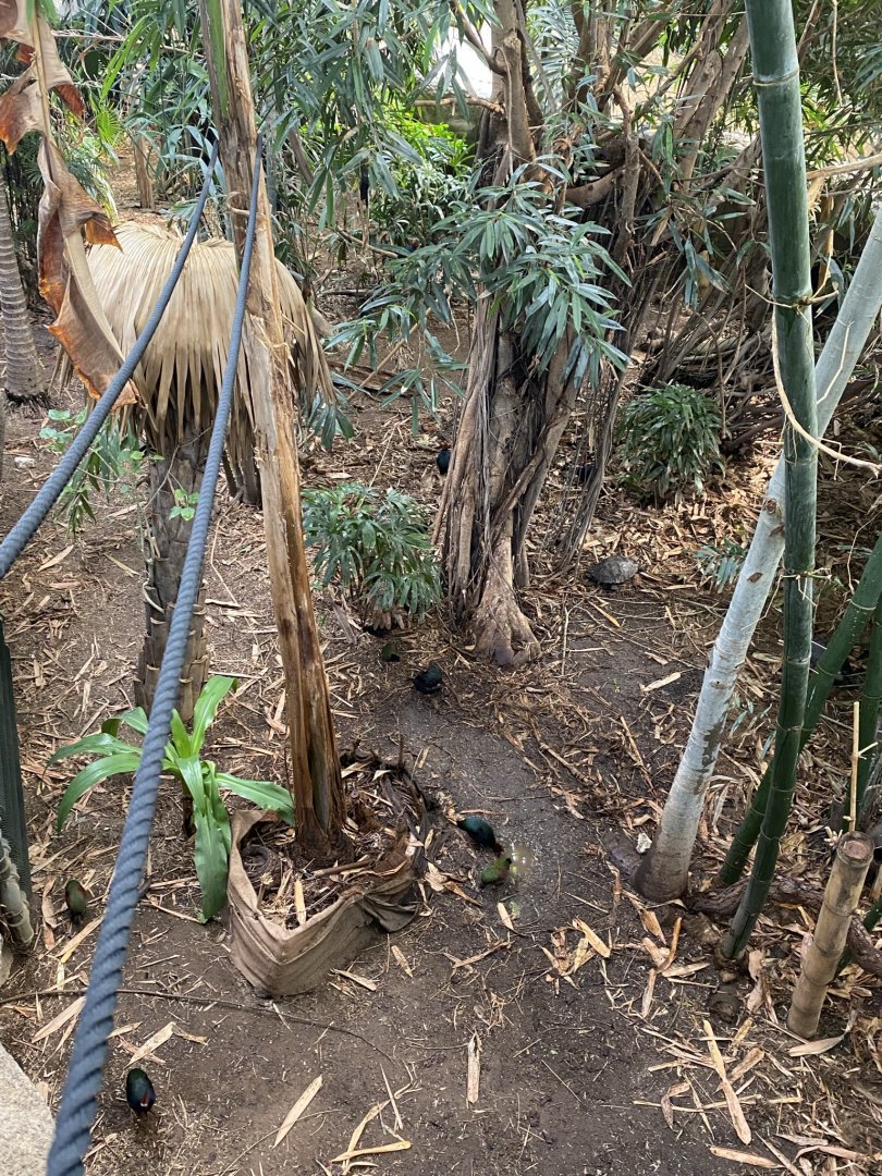 Tropical House 120821