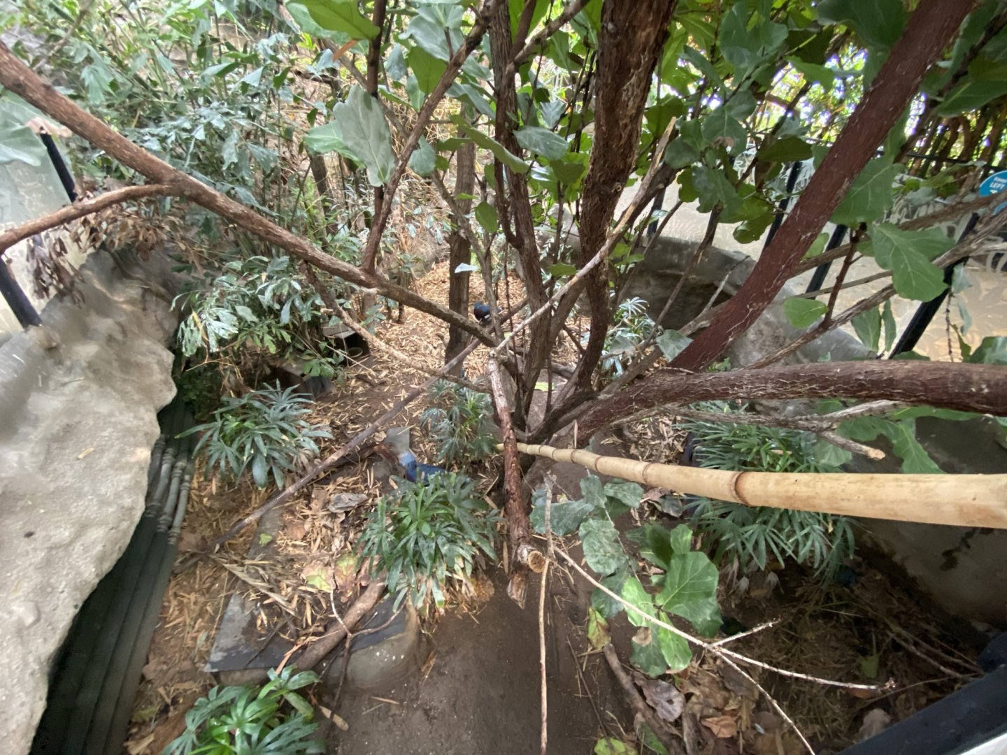 Tropical House 120821