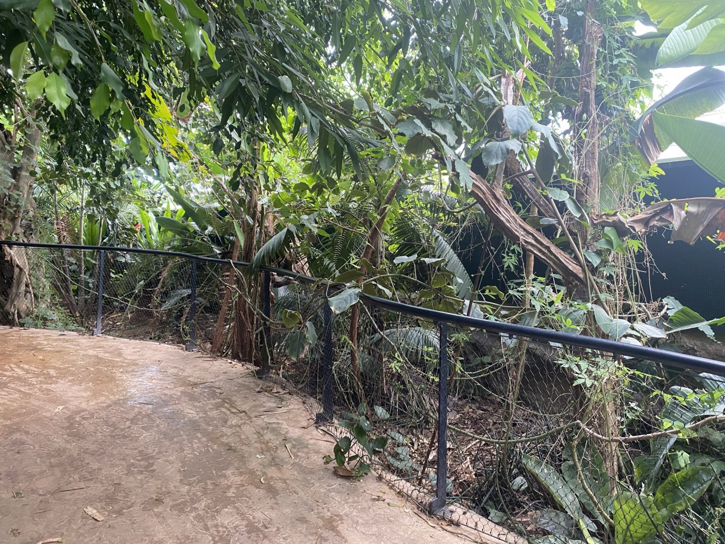 Tropical House 120821