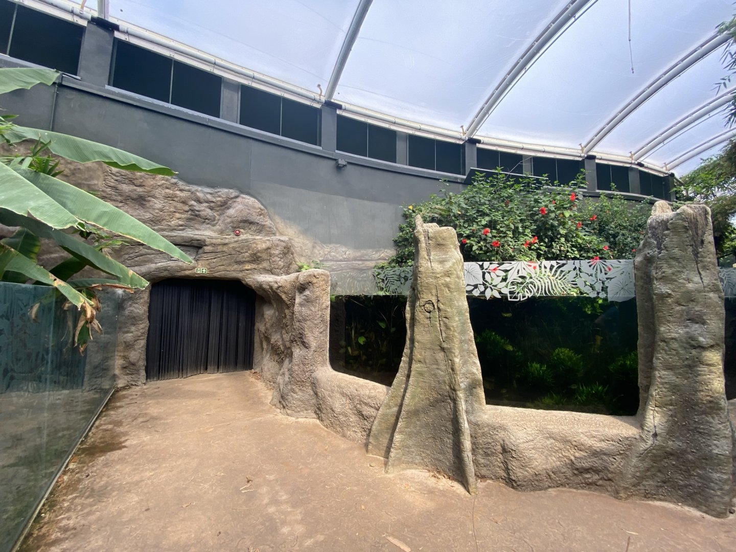 Tropical House 120821