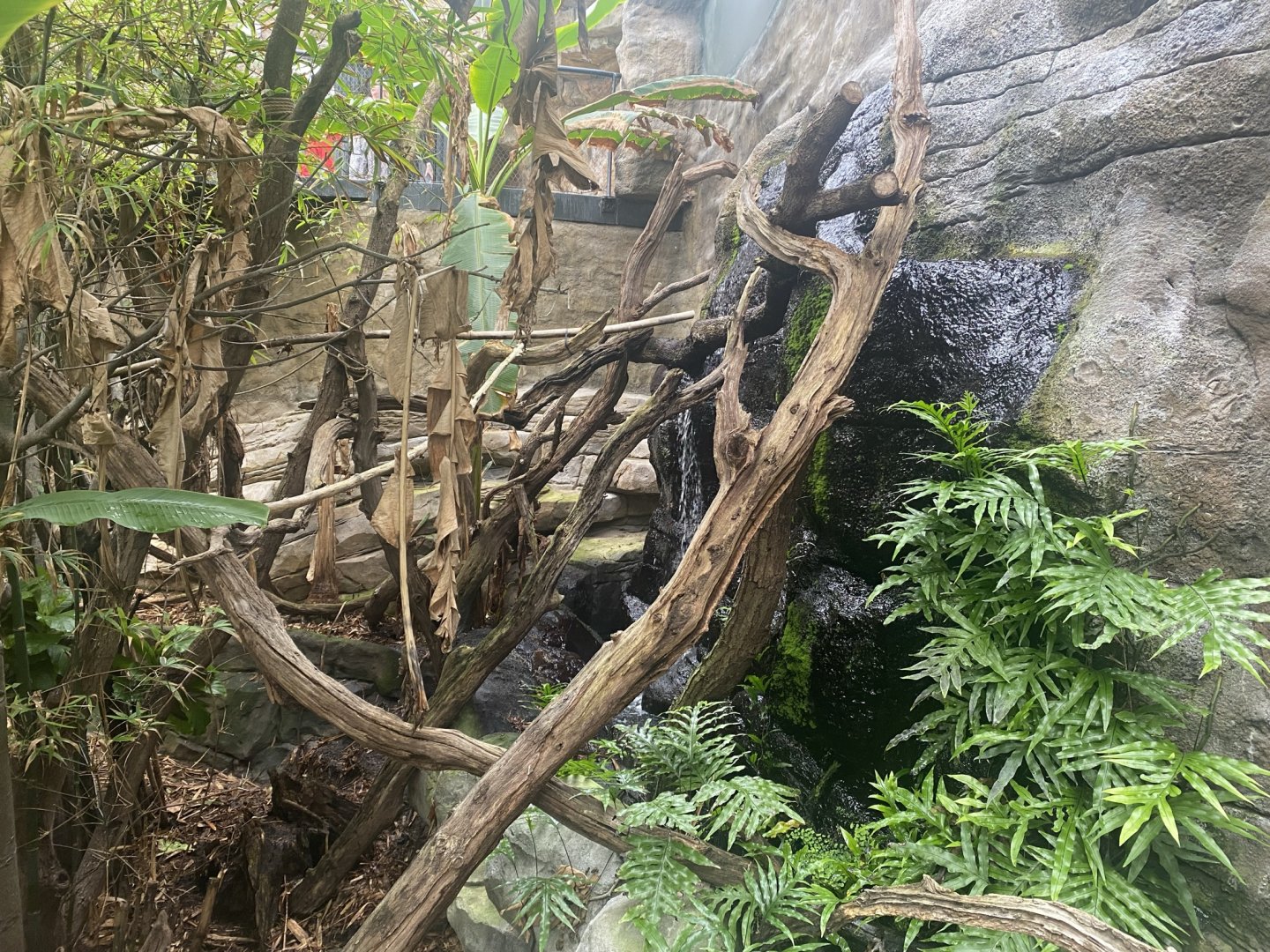 Tropical House 120821