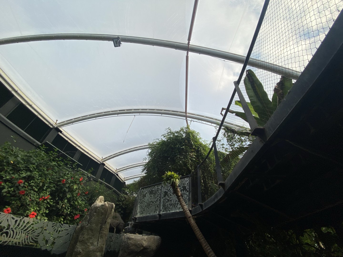 Tropical House 120821