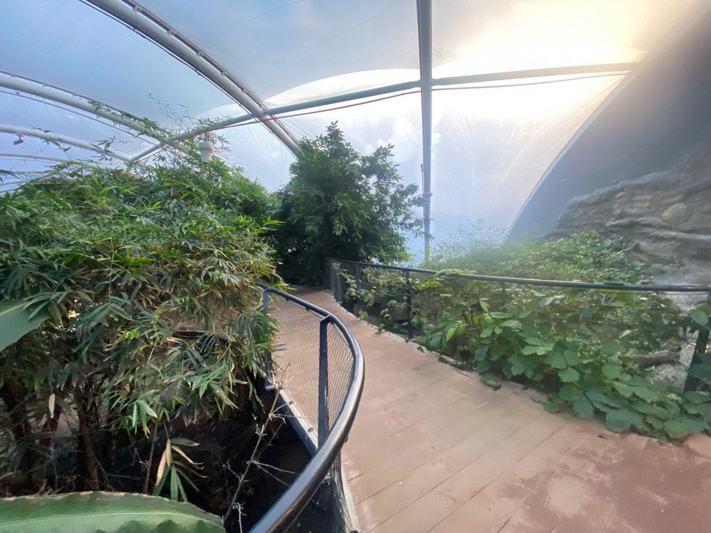 Tropical House 121223