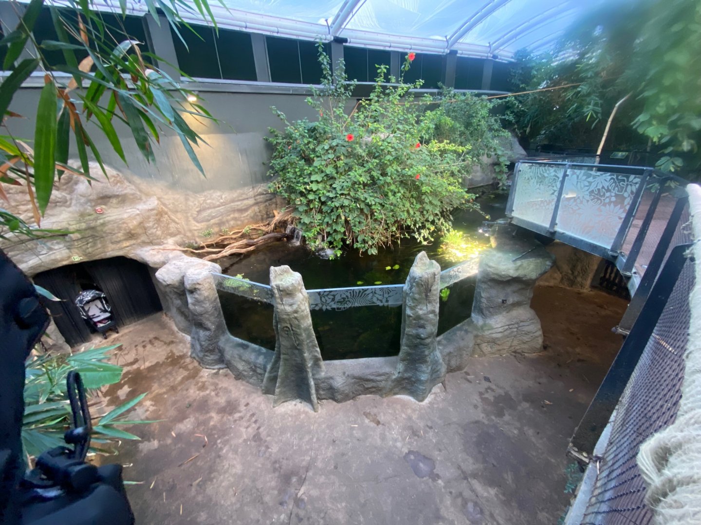 Tropical House 121223