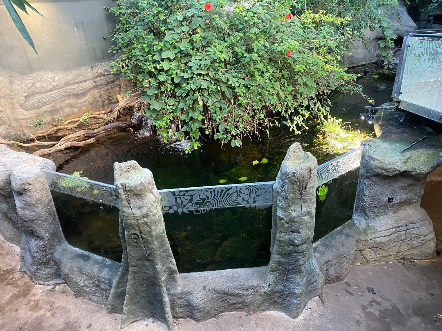 Tropical House 121223