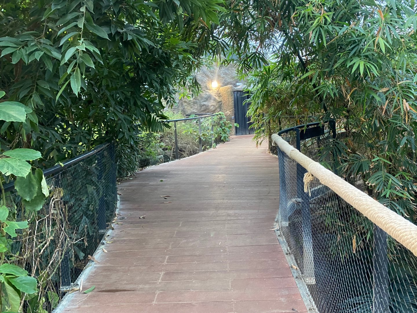 Tropical House 121223