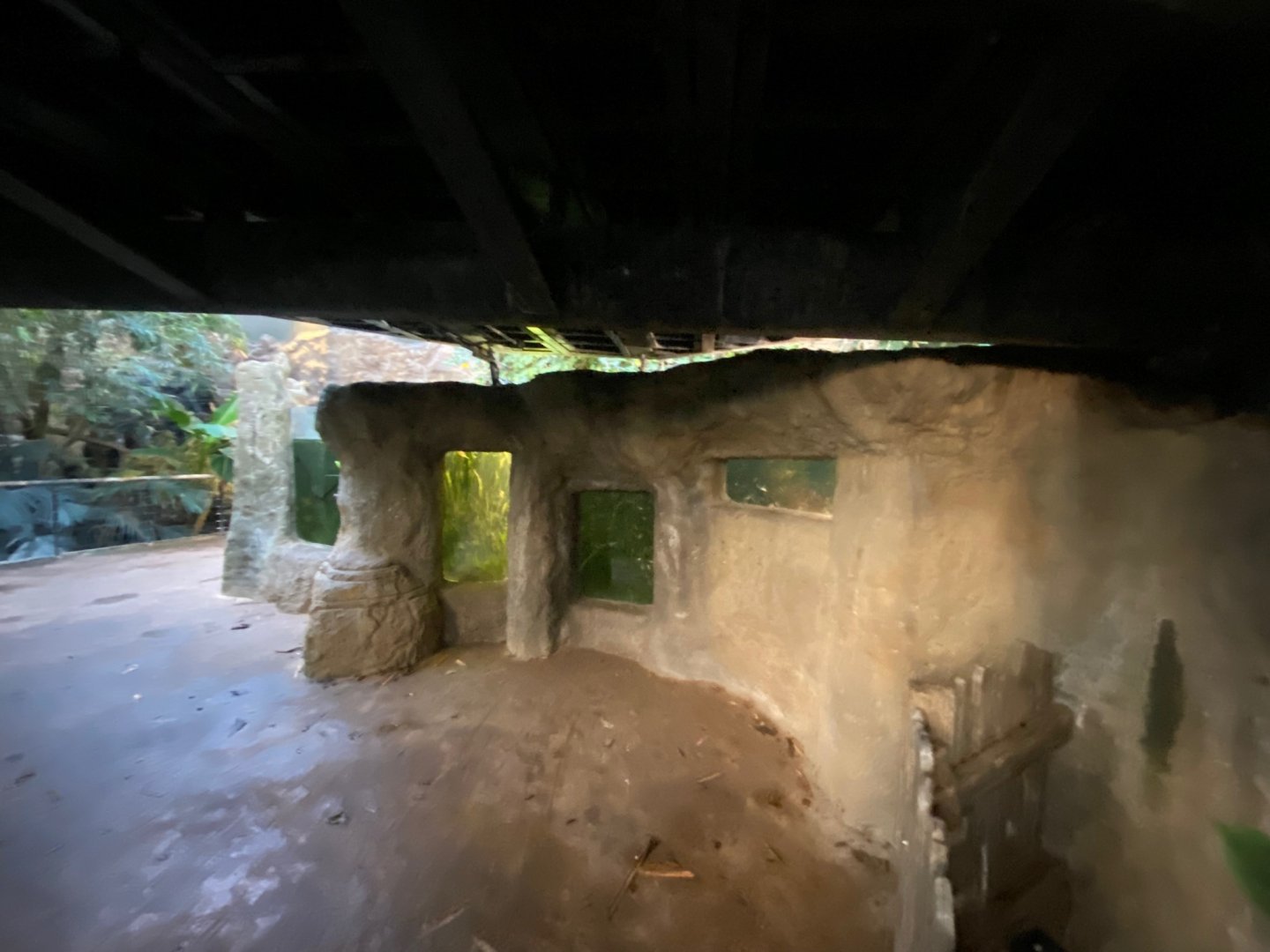 Tropical House 121223