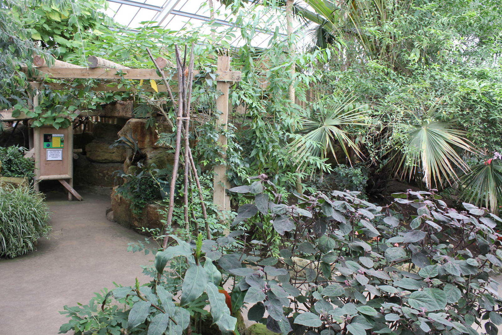 Tropical House 15-8-14