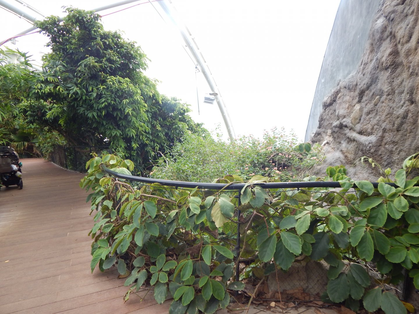 Tropical House 150725