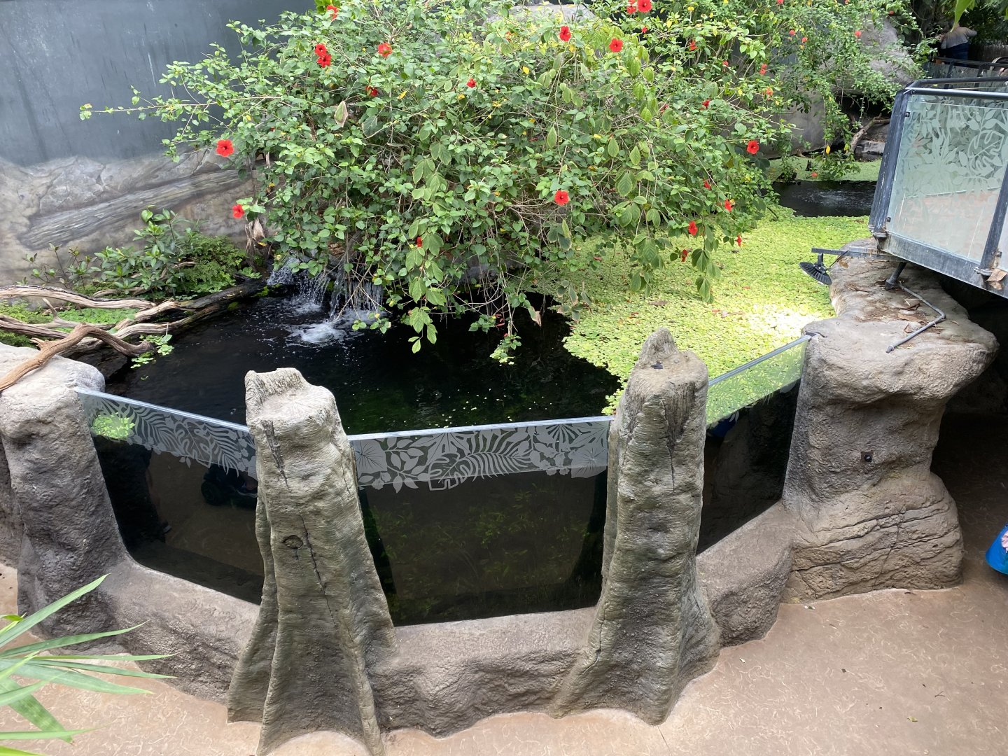 Tropical House 150725