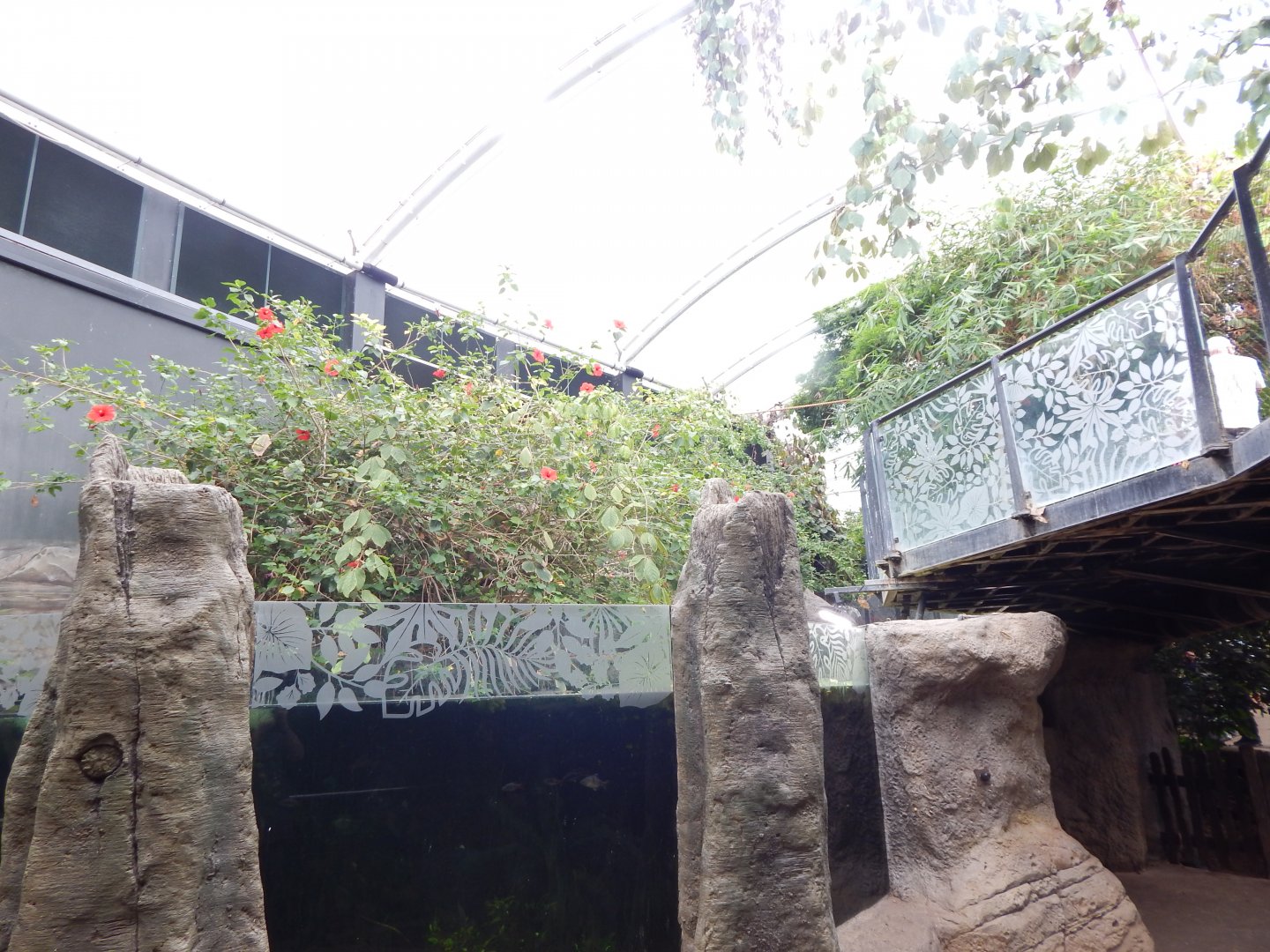 Tropical House 150725