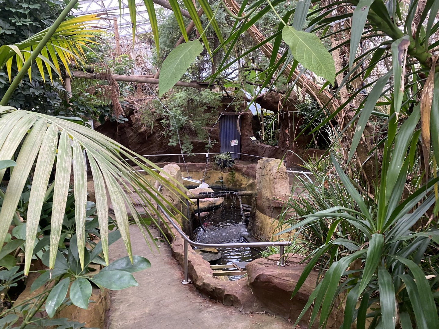 Tropical House 170224