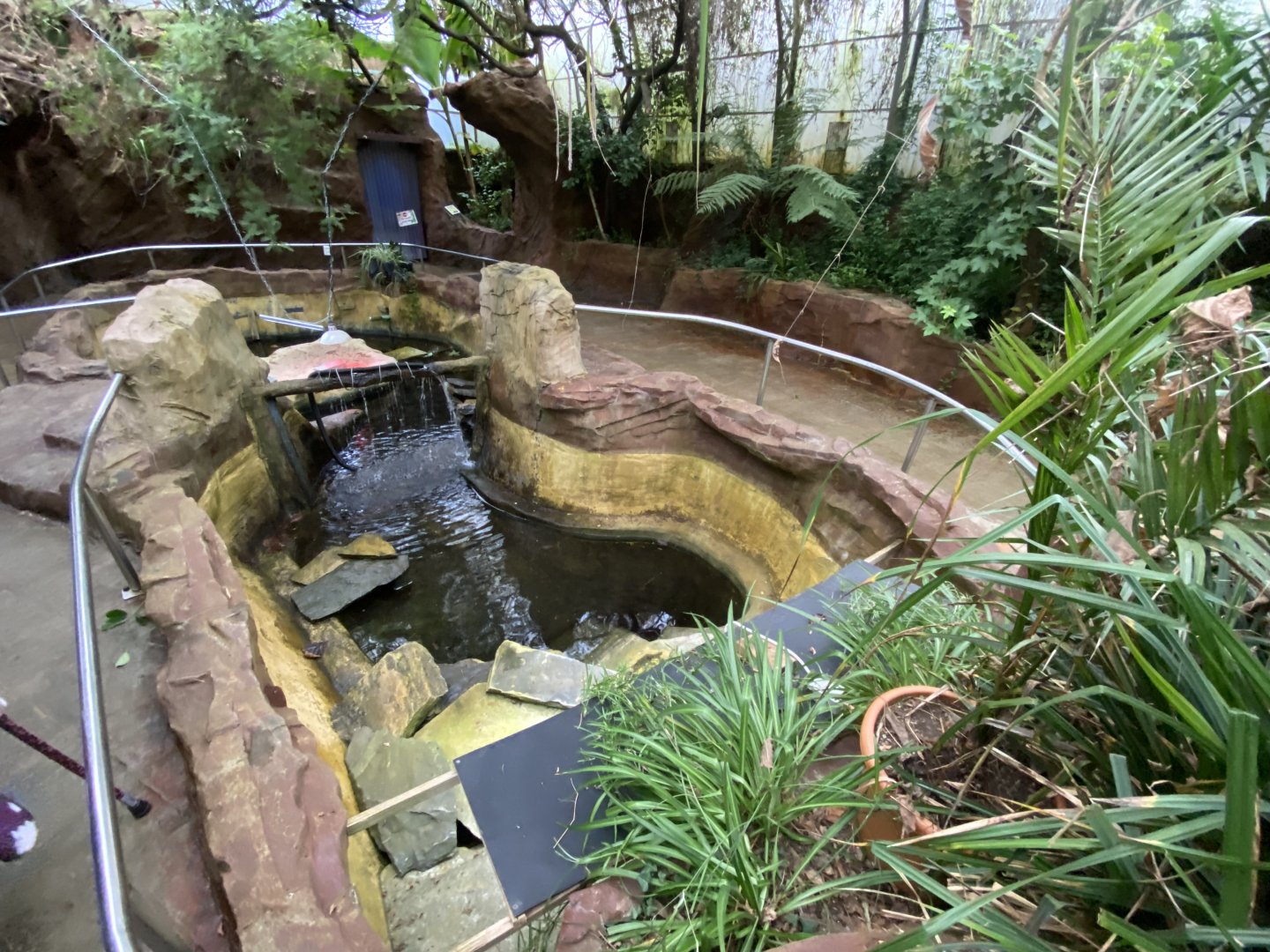 Tropical House 170224