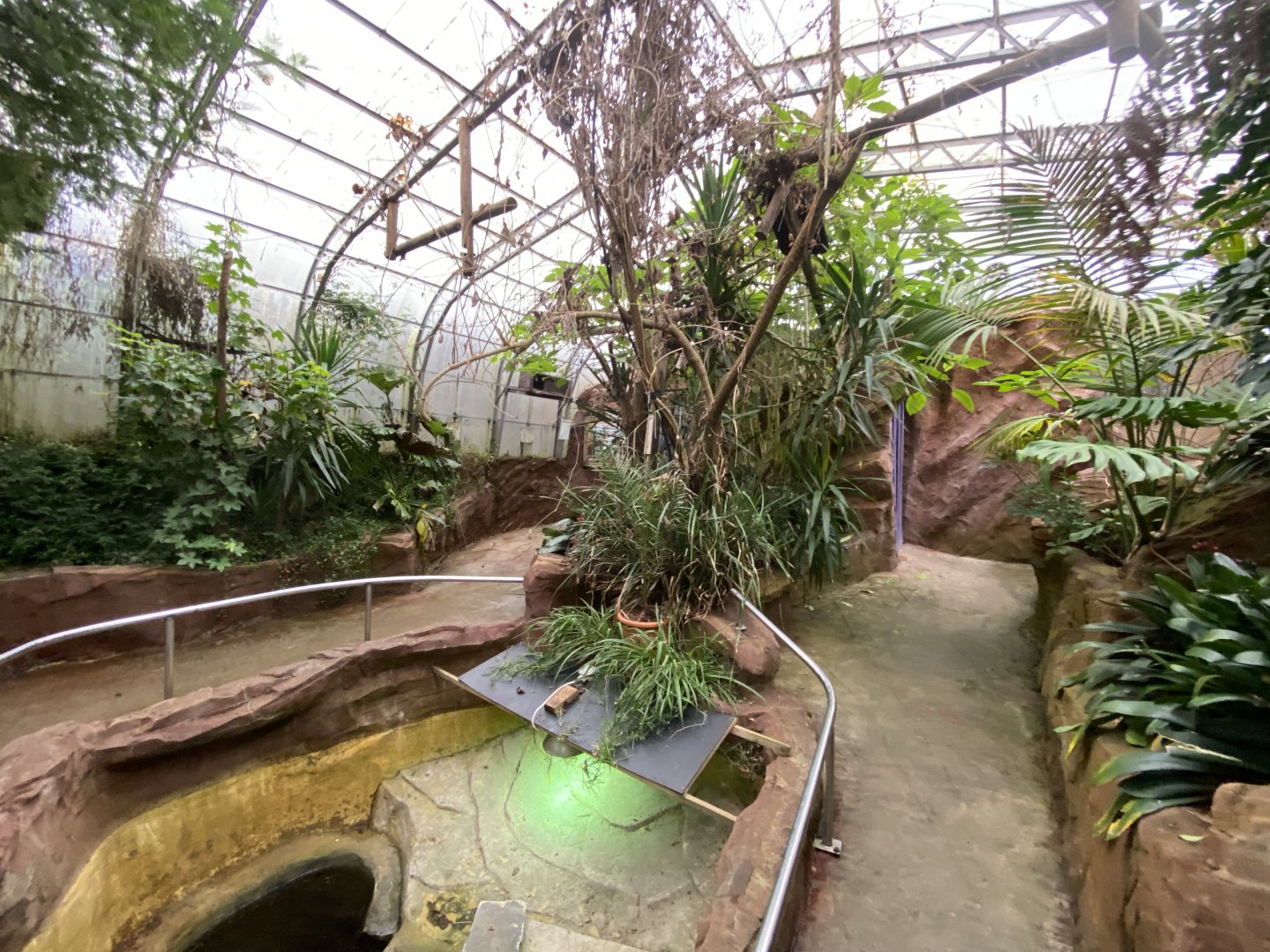 Tropical House 170224