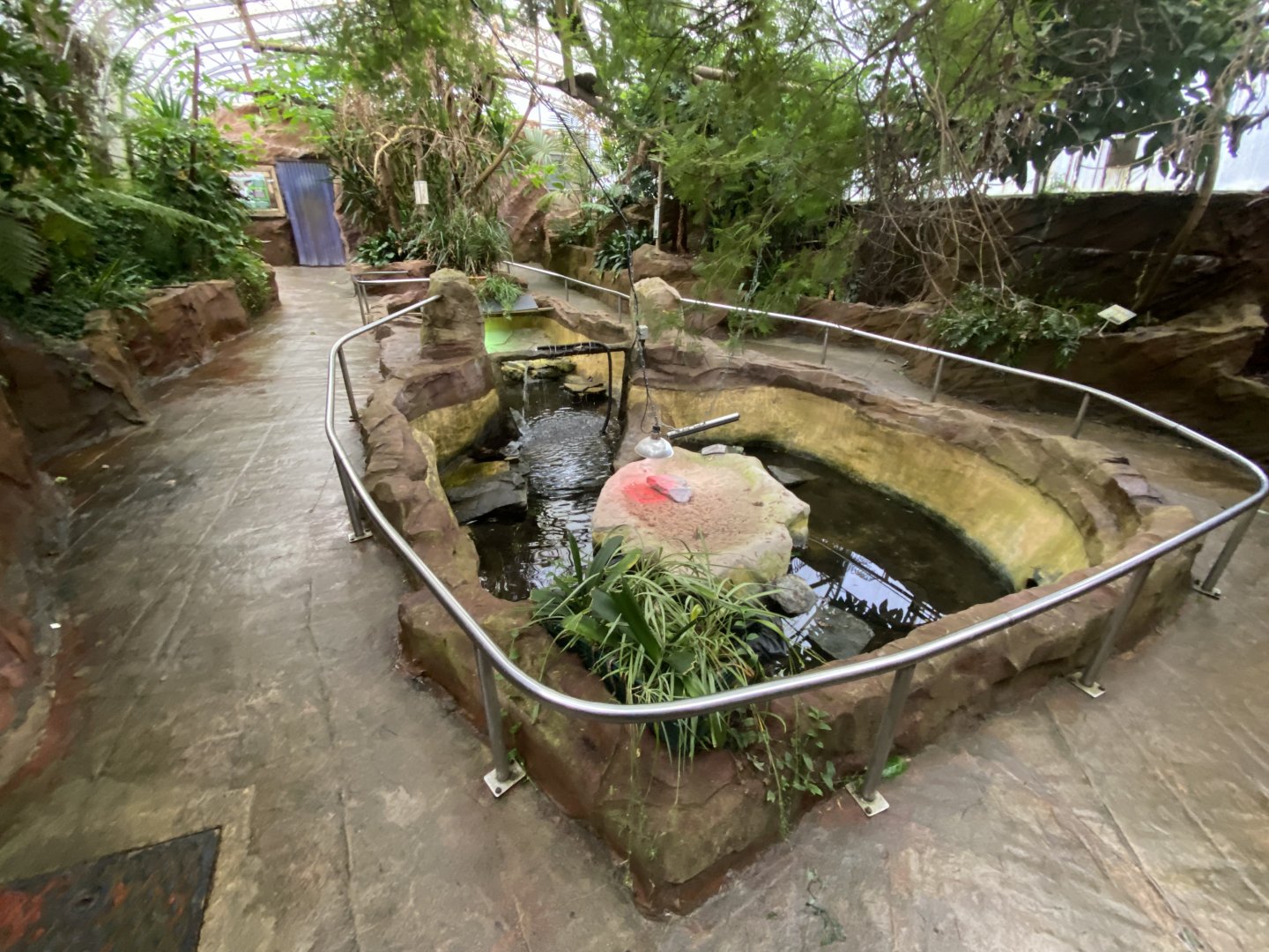 Tropical House 170224