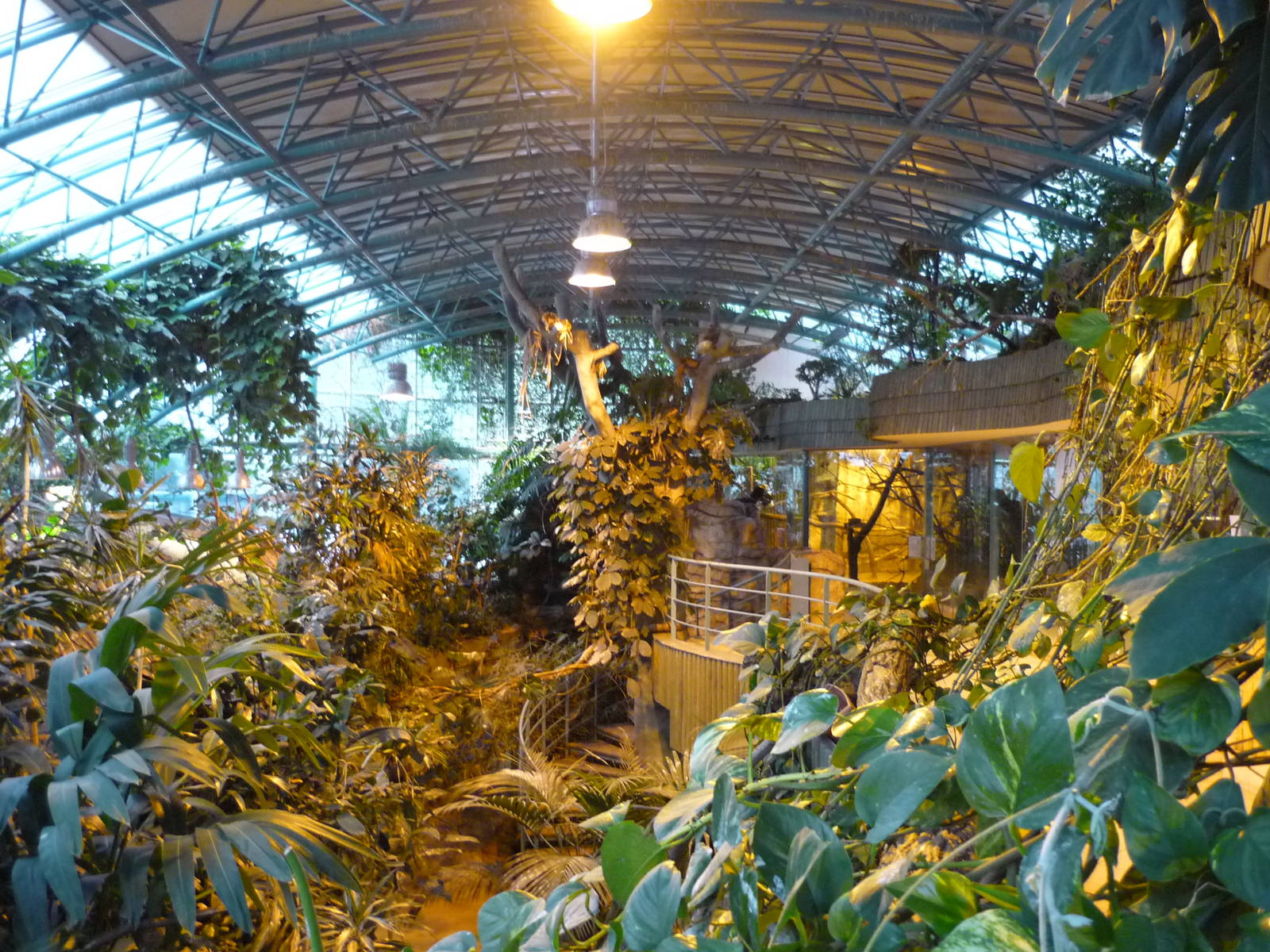 Tropical House 1st Floor