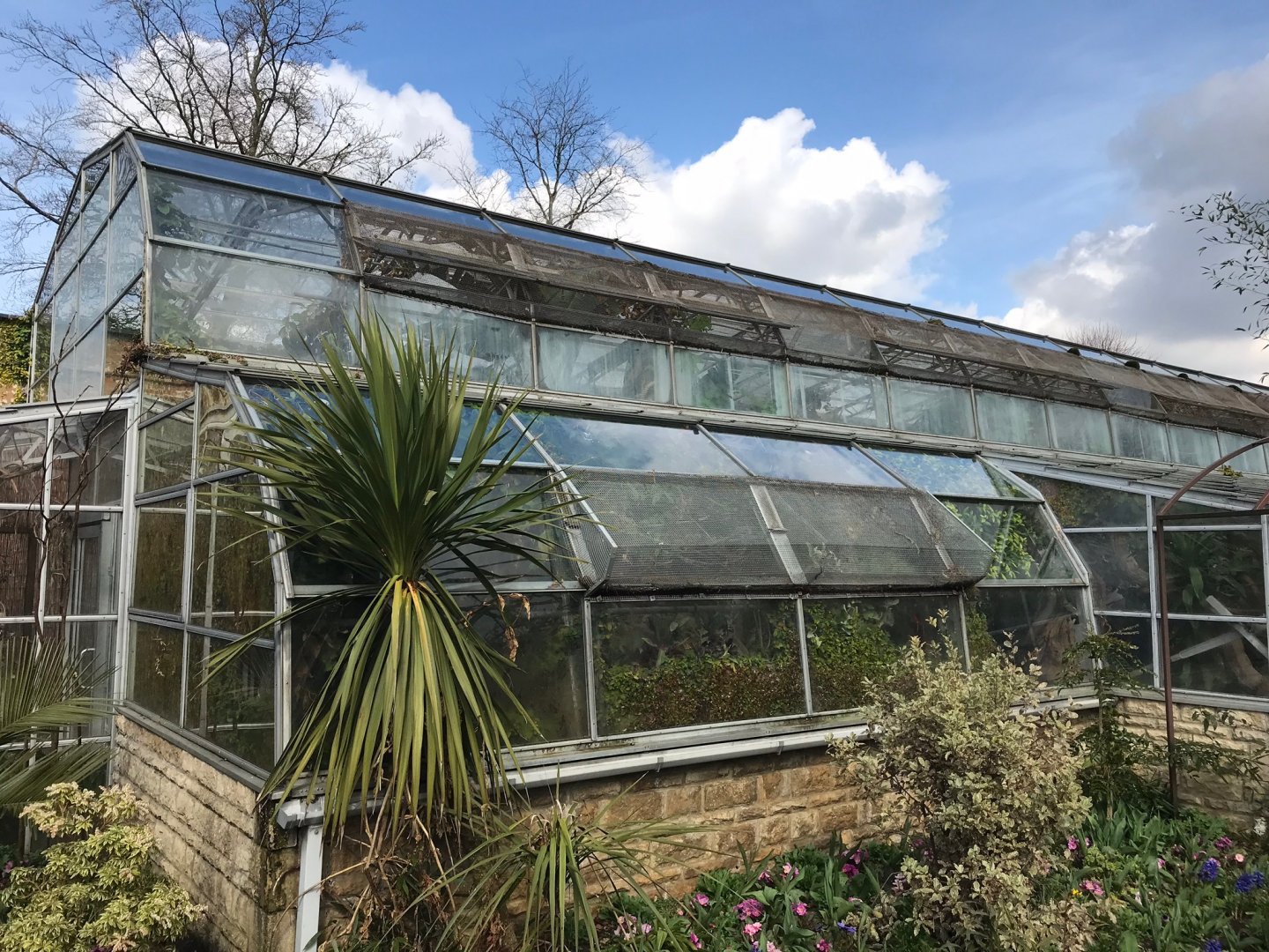 Tropical House 250318