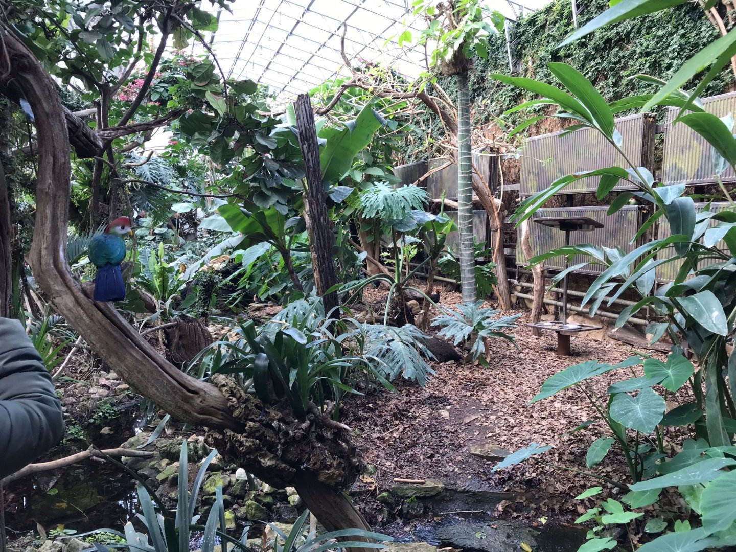 Tropical House 250318