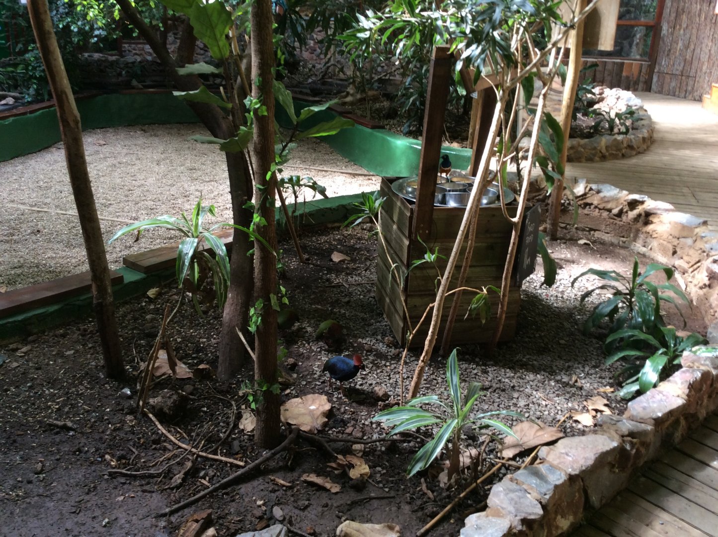 Tropical House 279517