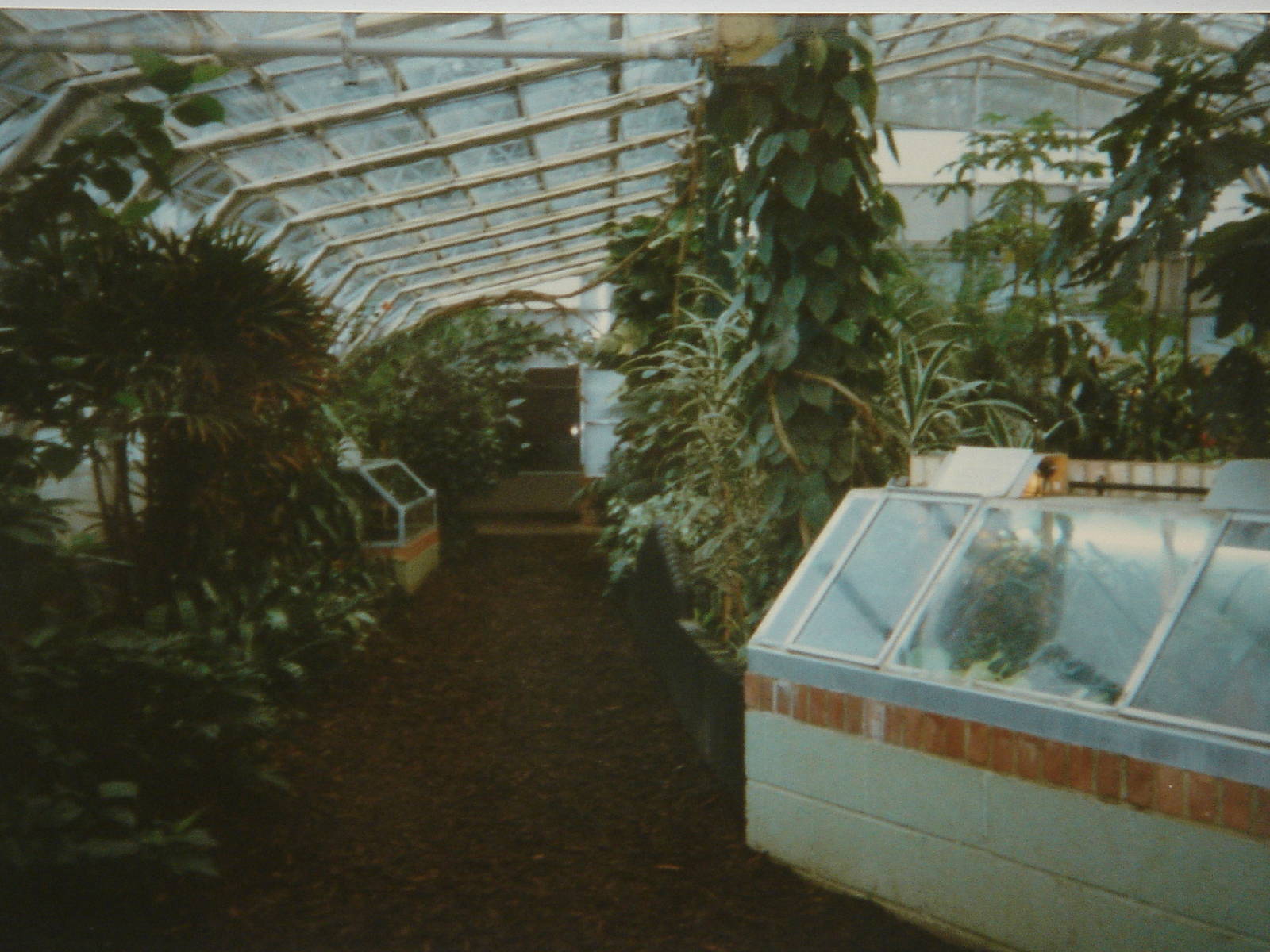 Tropical house 28/11/97