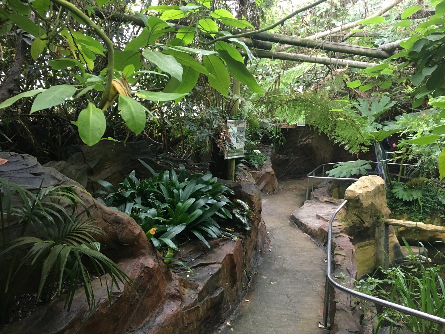 Tropical House 300617