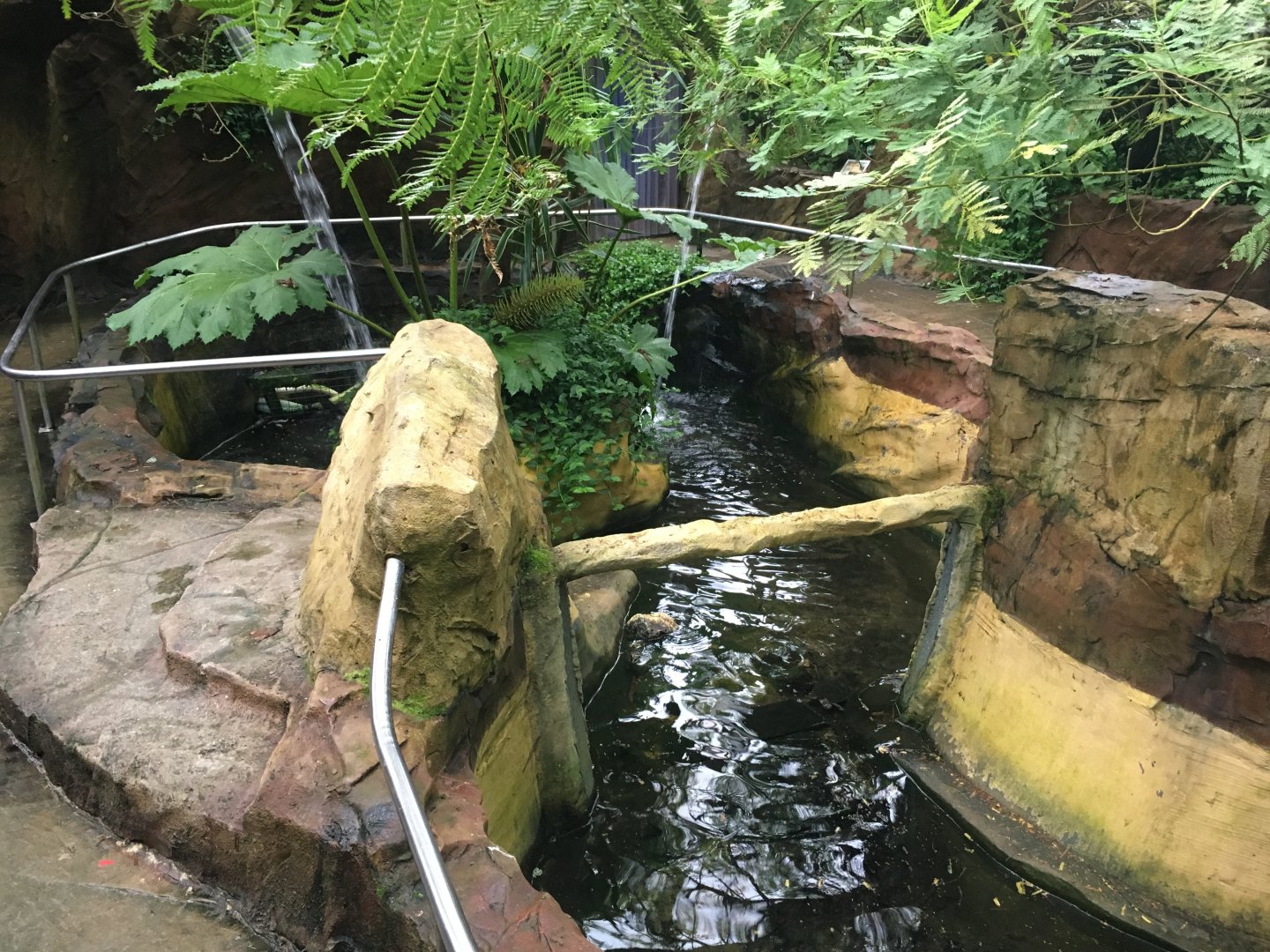 Tropical House 300617