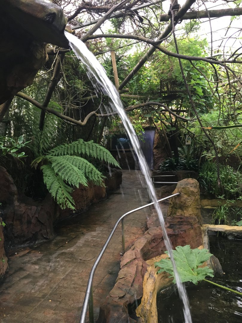 Tropical House 300617