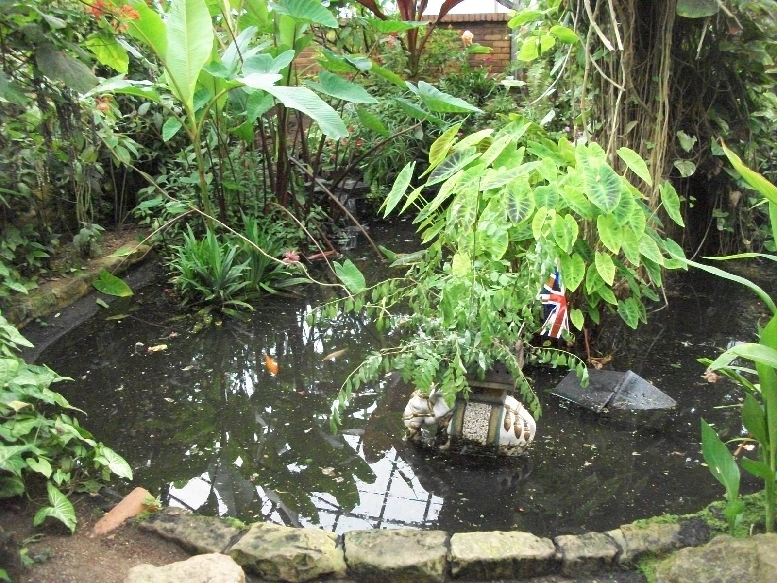 Tropical House, 3rd August 2012