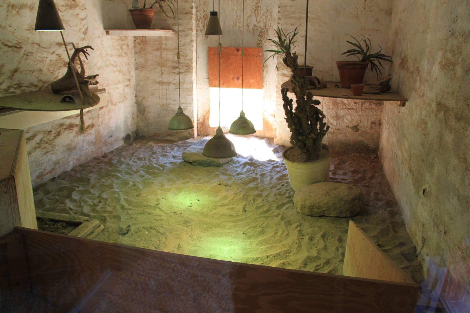 Tropical House - African Spurred Tortoise Indoor Exhibit