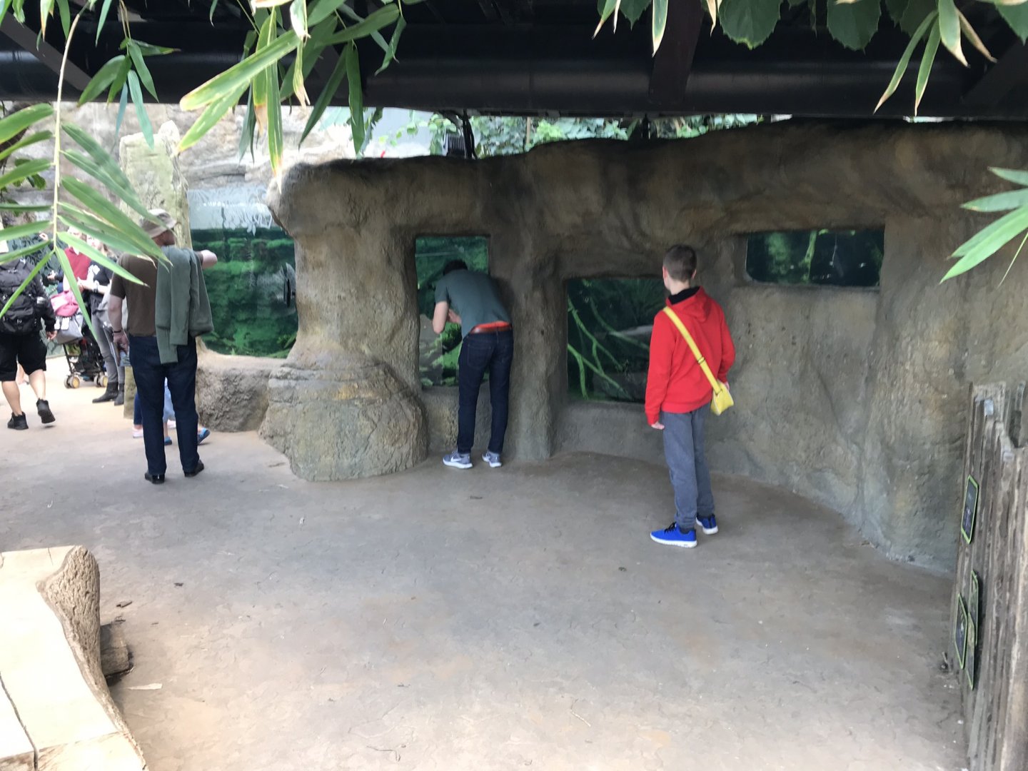 Tropical House - aquarium exhibit viewing windows 110519